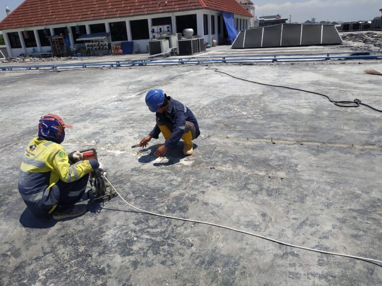 WhatsApp Image 2025-12-09 at 08.53.06