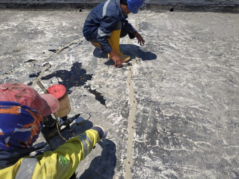 WhatsApp Image 2025-12-09 at 08.53.09