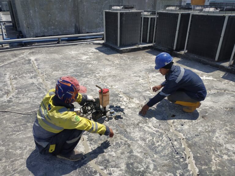 WhatsApp Image 2025-12-09 at 08.53.10